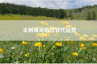 玉树爱采购托管代运营