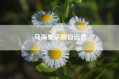 乌海爱采购自运营