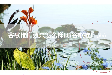 谷歌推广效果怎么样啊(谷歌推广gdn)