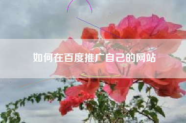 如何在百度推广自己的网站