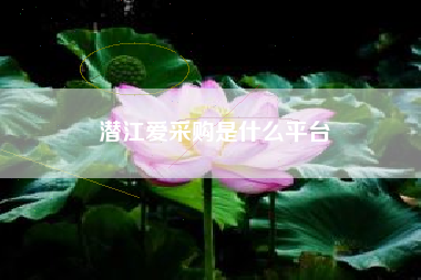 潜江爱采购是什么平台