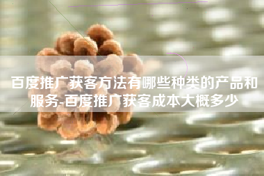 百度推广获客方法有哪些种类的产品和服务-百度推广获客成本大概多少