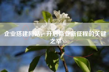 企业搭建网站，开启商业新征程的关键之举