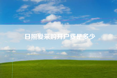 日照爱采购开户费是多少