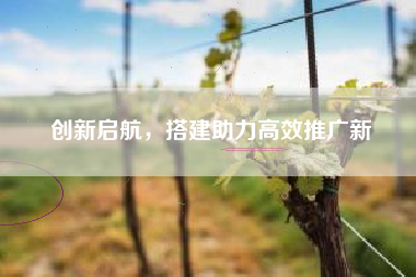 创新启航，搭建助力高效推广新