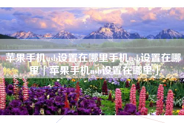苹果手机usb设置在哪里手机usb设置在哪里「苹果手机usb设置在哪里」