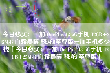 今日必买：一加 OnePlus 13 5G手机 12GB+256GB 白露晨曦 骁龙8至尊版一加手机多少钱「今日必买：一加 OnePlus 13 5G手机 12GB+256GB 白露晨曦 骁龙8至尊版」