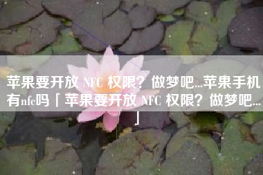 苹果要开放 NFC 权限?做梦吧...苹果手机有nfc吗「苹果要开放 NFC 权限?做梦吧...」 苹果要开放 NFC 权限?做梦吧...苹果手机有nfc吗「苹果要开放 NFC 权限?做梦吧...」