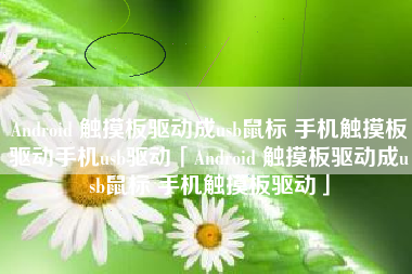 Android 触摸板驱动成usb鼠标 手机触摸板驱动手机usb驱动「Android 触摸板驱动成usb鼠标 手机触摸板驱动」