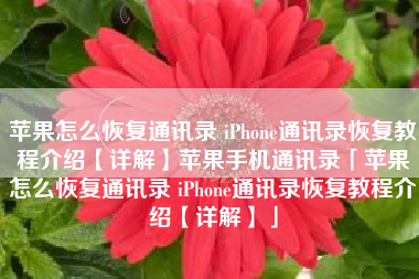 苹果怎么恢复通讯录 iPhone通讯录恢复教程介绍【详解】苹果手机通讯录「苹果怎么恢复通讯录 iPhone通讯录恢复教程介绍【详解】」