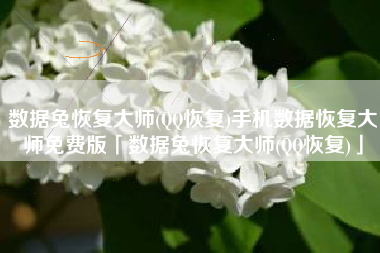 数据兔恢复大师(QQ恢复)手机数据恢复大师免费版「数据兔恢复大师(QQ恢复)」