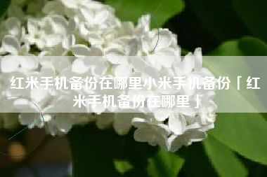 红米手机备份在哪里小米手机备份「红米手机备份在哪里」
