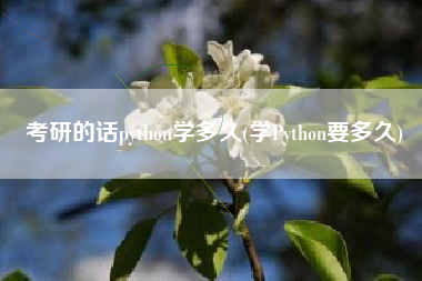 考研的话python学多久(学Python要多久)