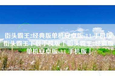 街头霸王2经典版单机安卓版v3.1 手机版街头霸王下载手机版「街头霸王2经典版单机安卓版v3.1 手机版」