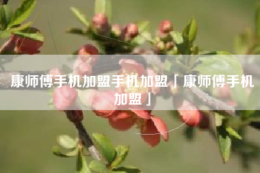 康师傅手机加盟手机加盟「康师傅手机加盟」
