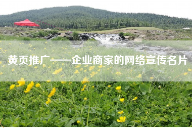 黄页推广——企业商家的网络宣传名片