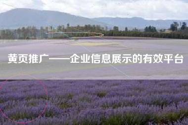 黄页推广——企业信息展示的有效平台