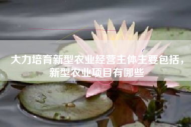 大力培育新型农业经营主体主要包括，新型农业项目有哪些