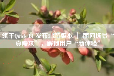 瓴羊Quick BI 发布5.3新版本 ｜ 面向场景“真需求”，解锁用户“新体验”