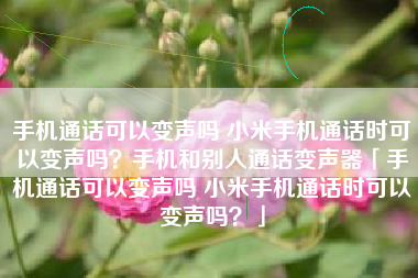 手机通话可以变声吗 小米手机通话时可以变声吗？手机和别人通话变声器「手机通话可以变声吗 小米手机通话时可以变声吗？」