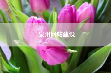泉州网站建设 泉州网站建设