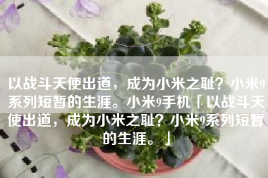 以战斗天使出道，成为小米之耻？小米9系列短暂的生涯。小米9手机「以战斗天使出道，成为小米之耻？小米9系列短暂的生涯。」