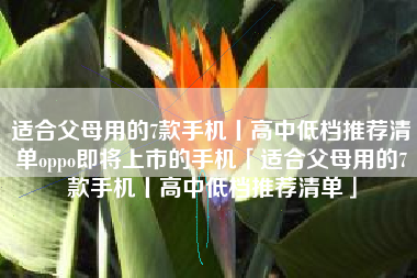 适合父母用的7款手机丨高中低档推荐清单oppo即将上市的手机「适合父母用的7款手机丨高中低档推荐清单」