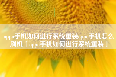 oppo手机如何进行系统重装oppo手机怎么刷机「oppo手机如何进行系统重装」