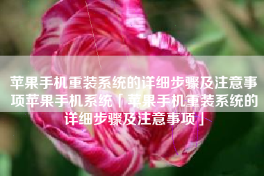 苹果手机重装系统的详细步骤及注意事项苹果手机系统「苹果手机重装系统的详细步骤及注意事项」