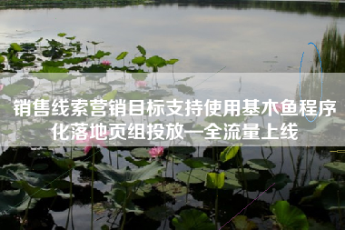 销售线索营销目标支持使用基木鱼程序化落地页组投放—全流量上线 销售线索营销目标支持使用基木鱼程序化落地页组投放—全流量上线