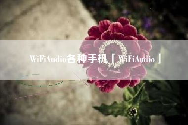 WiFiAudio各种手机「WiFiAudio」 WiFiAudio各种手机「WiFiAudio」