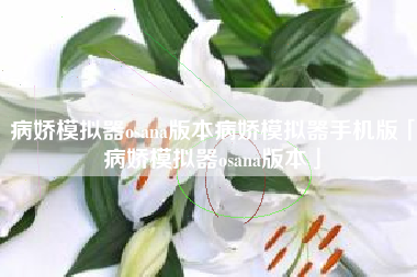 病娇模拟器osana版本病娇模拟器手机版「病娇模拟器osana版本」