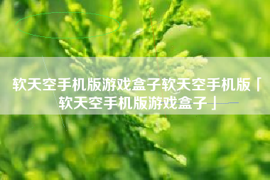 软天空手机版游戏盒子软天空手机版「软天空手机版游戏盒子」