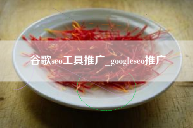 谷歌seo工具推广_googleseo推广