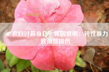 “农妇讨薪身亡”死因查明:钝性暴力致颈部损伤 “农妇讨薪身亡”死因查明:钝性暴力致颈部损伤