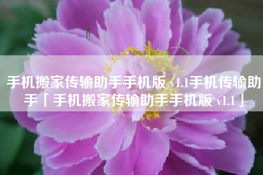手机搬家传输助手手机版 v1.1手机传输助手「手机搬家传输助手手机版 v1.1」
