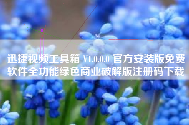 迅捷视频工具箱 V1.0.0.0 官方安装版免费软件全功能绿色商业破解版注册码下载 迅捷视频工具箱 V1.0.0.0 官方安装版免费软件全功能绿色商业破解版注册码下载