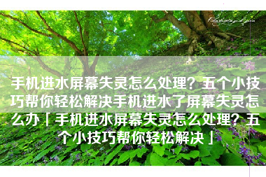 手机进水屏幕失灵怎么处理?五个小技巧帮你轻松解决手机进水了屏幕失灵怎么办「手机进水屏幕失灵怎么处理?五个小技巧帮你轻松解决」 手机进水屏幕失灵怎么处理?五个小技巧帮你轻松解决手机进水了屏幕失灵怎么办「手机进水屏幕失灵怎么处理?五个小技巧帮你轻松解决」