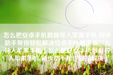 怎么把安卓手机数据导入苹果手机 同步助手帮你轻松解决安卓手机通讯录怎么导入苹果手机「怎么把安卓手机数据导入苹果手机 同步助手帮你轻松解决」 怎么把安卓手机数据导入苹果手机 同步助手帮你轻松解决安卓手机通讯录怎么导入苹果手机「怎么把安卓手机数据导入苹果手机 同步助手帮你轻松解决」