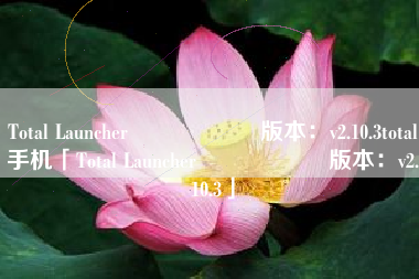 Total Launcher                    版本：v2.10.3total手机「Total Launcher                    版本：v2.10.3」