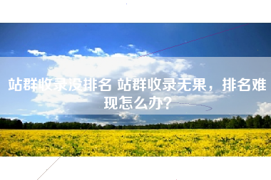 站群收录没排名 站群收录无果,排名难现怎么办? 站群收录没排名 站群收录无果,排名难现怎么办?