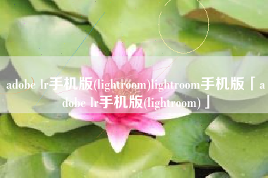 adobe lr手机版(lightroom)lightroom手机版「adobe lr手机版(lightroom)」