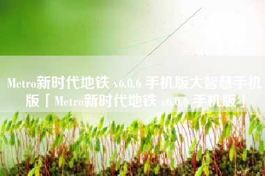 Metro新时代地铁 v6.0.6 手机版大智慧手机版「Metro新时代地铁 v6.0.6 手机版」