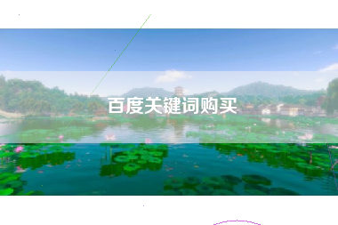 百度关键词购买