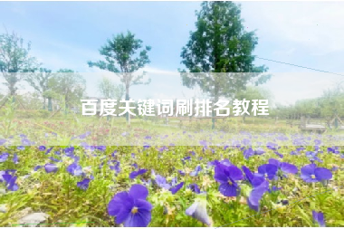 百度关键词刷排名教程 百度关键词刷排名教程