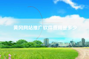 黄冈网站推广软件费用是多少