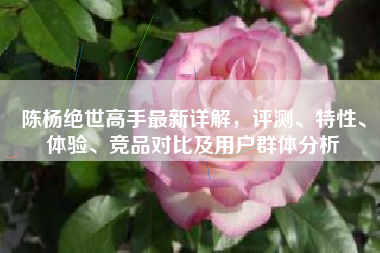 陈杨绝世高手最新详解,评测、特性、体验、竞品对比及用户群体分析 陈杨绝世高手最新详解,评测、特性、体验、竞品对比及用户群体分析