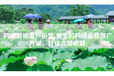 网络营销推广运营(最全的网络运营推广方案，赶快点赞收藏)