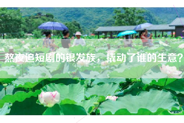 熬夜追短剧的银发族，撬动了谁的生意？