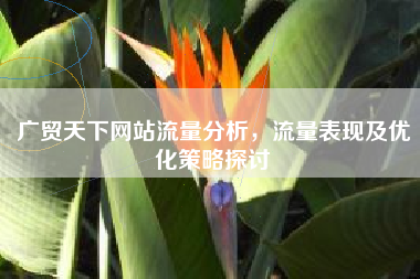 广贸天下网站流量分析，流量表现及优化策略探讨
